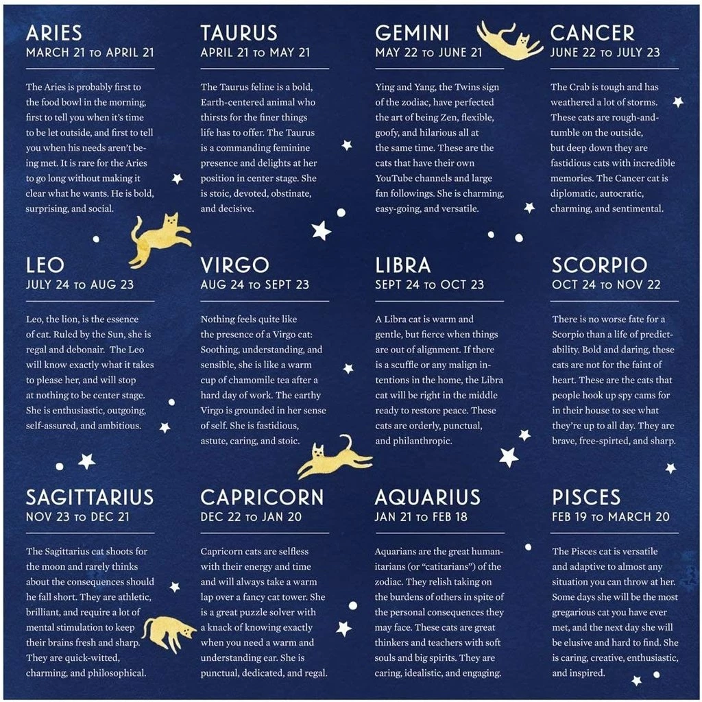 Budget ๐ GALISON CAT ZODIAC PUZZLE 500 PIECE PUZZLE โ๏ธ - Image 4