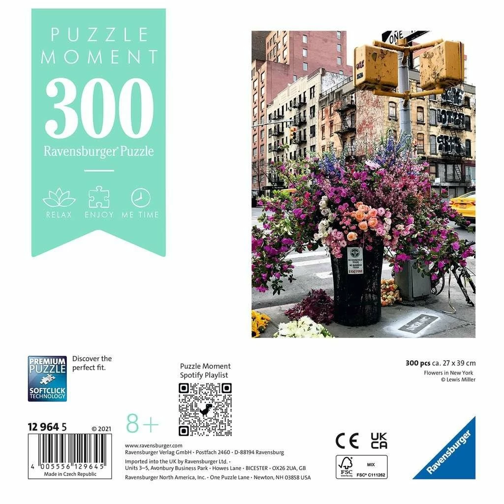 Cheap โ๏ธ RAVENSBURGER USA 300 PIECE PUZZLE MOMENT ๐ - Image 2