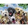 Promo 💯 RAVENSBURGER USA DELIGHTED 🐕 DOGS 300 PIECE PUZZLE 🧨
