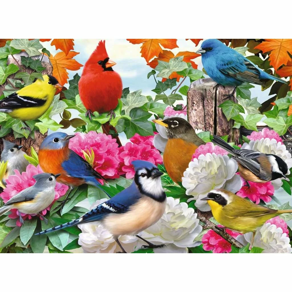 New 🧨 RAVENSBURGER USA GARDEN BIRDS 500 PIECE PUZZLE 👍 - Image 2