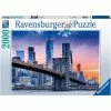 Coupon ❤️ RAVENSBURGER USA NEW YORK SKYLINE 2000 PIECE PUZZLE ❤️