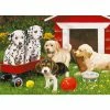 Best deal 🔔 RAVENSBURGER USA PUPPY PARTY 60 PIECE PUZZLE 🔥